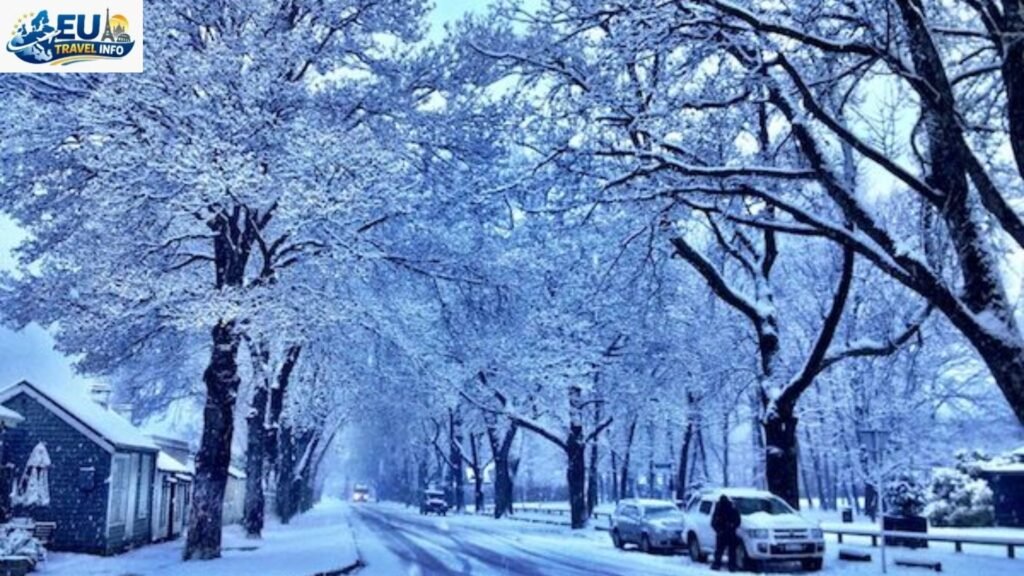 Winter: The Snowy Wonderland (June to August)