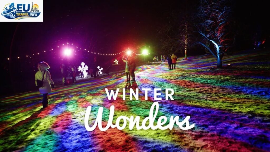 Winter Wonders and Holiday Lights