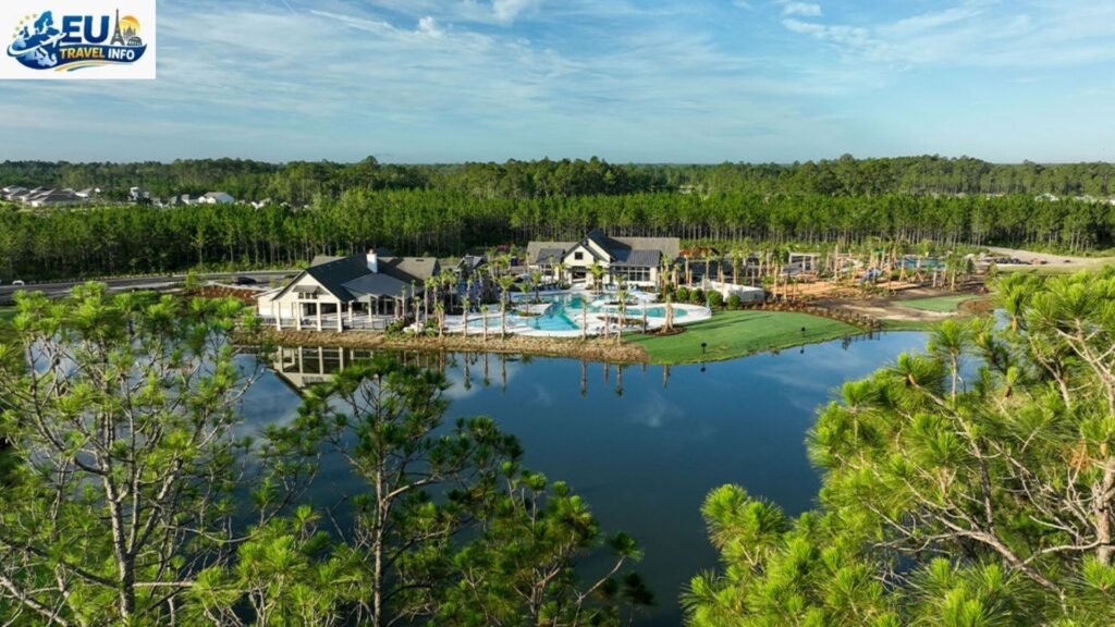 The View from North Florida