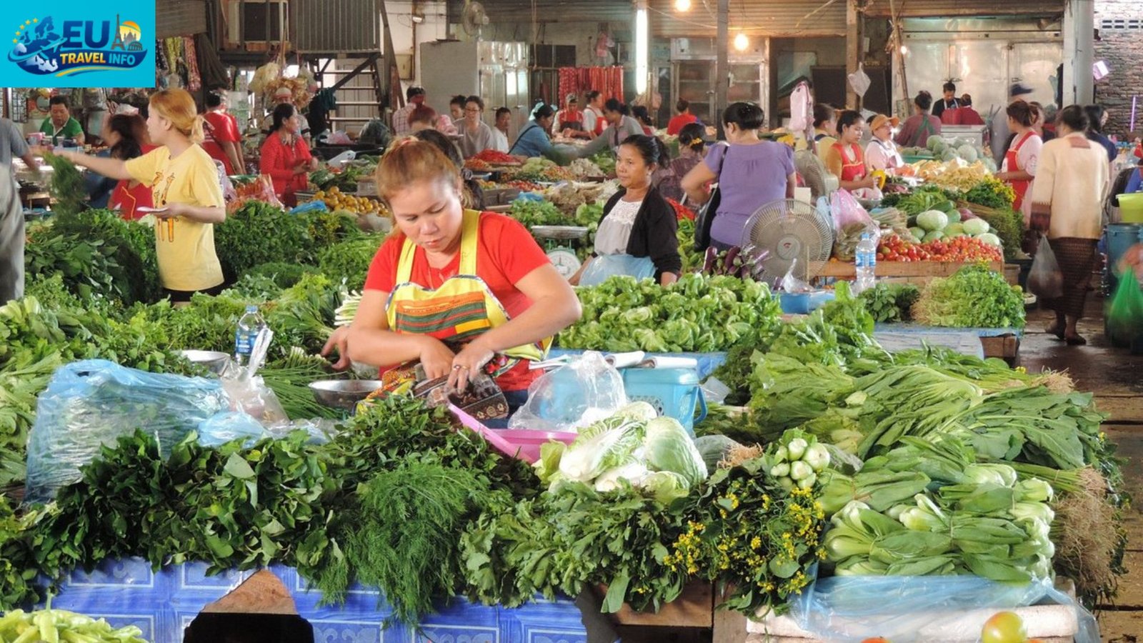 A Morning Start at the Markets