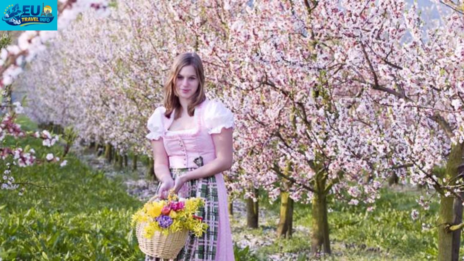 The Wachau Valley and the Marille